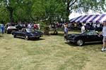 2012 Bloomington Gold: Mecum Auction Top 11 Corvette Sales