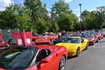 [PICS] 2013 Corvettes on Woodward Food Drive