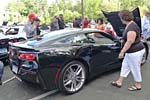 [PICS] 2013 Corvettes on Woodward Food Drive