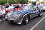 [PICS] 2013 Corvettes on Woodward Food Drive