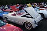 [PICS] 2013 Corvettes on Woodward Food Drive