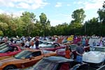 [PICS] 2013 Corvettes on Woodward Food Drive