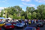 [PICS] 2013 Corvettes on Woodward Food Drive