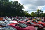[PICS] 2013 Corvettes on Woodward Food Drive