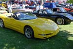 [PICS] The Corvettes of the 2013 Woodward Dream Cruise