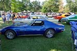 [PICS] The Corvettes of the 2013 Woodward Dream Cruise