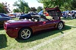 [PICS] The Corvettes of the 2013 Woodward Dream Cruise