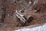 [VIDEO] The 2009 1.5 Millionth Corvette Recovered from the Corvette Museum Sinkhole