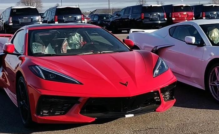 [VIDEO] Corvette Heaven! Multiple C8 Corvettes in a Variety of Colors