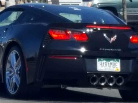[PICS] Sad Observation about a Corvette Vanity Plate