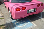 Real Life Barbie with her Pink Corvette