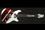 Ron Fellows Custom PRS Guitar