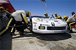 The 2007 Artic White C6.R Corvette
