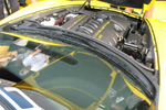 2009 Corvette GT1 Championship Edition