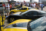 2009 Corvette GT1 Championship Edition