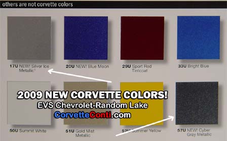 New 2009 Corvette Paint Chips