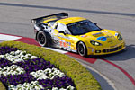 The Corvette C6.Rs at ALMS Long Beach