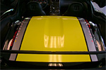 #18 2009 GT1 Championship Edition Coupe