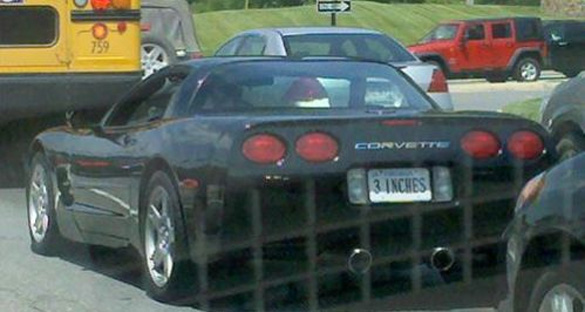 Corvette Stereotype Reinforced with Custom License Plate