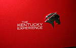 NCM to Raffle Special One-Off Kentucky Experience Corvette Grand Sport