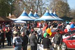 Corvettes for Chip 2011