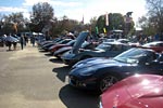 Corvettes for Chip 2011