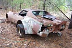 Barn Find: Flared C3 Corvette Put Out to Pasture