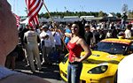 2010 Petit Le Mans Corvette Gallery