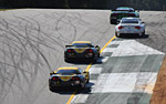 2010 Petit Le Mans Corvette Gallery