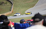 2010 Petit Le Mans Corvette Gallery