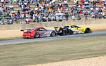 2010 Petit Le Mans Corvette Gallery