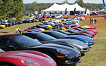 2010 Petit Le Mans Corvette Gallery