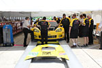 Corvette Racing C6.Rs at Sebring
