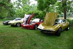 [PICS] Canterbury Corvette Fest 2012