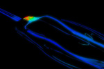 Every Line Matters: Aerodynamics Optimized for All New 2017 C7 Corvette
