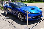 [PICS] The Corvette Pace Cars of Bloomington Gold 2013