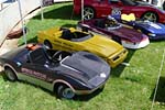 [PICS] The Corvette Pace Cars of Bloomington Gold 2013