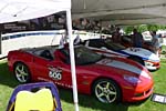 [PICS] The Corvette Pace Cars of Bloomington Gold 2013
