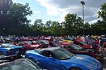 [PICS] 2013 Corvettes on Woodward Food Drive