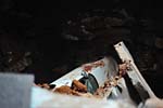 [VIDEO] Corvette Museum Rescues the 1992 One Millionth Corvette from Sinkhole