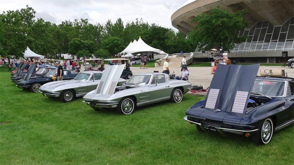 Corvette Sting Rays at Bloomington Gold