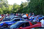 The 2014 Corvettes on Woodward Food Drive
