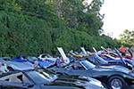 The 2014 Corvettes on Woodward Food Drive