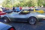 The 2014 Corvettes on Woodward Food Drive