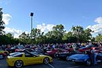 The 2014 Corvettes on Woodward Food Drive