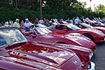 The 2014 Corvettes on Woodward Food Drive