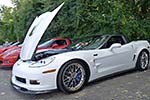 The 2014 Corvettes on Woodward Food Drive