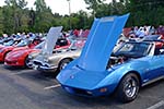 The 2014 Corvettes on Woodward Food Drive