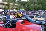 The 2014 Corvettes on Woodward Food Drive