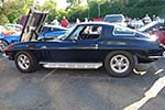The 2014 Corvettes on Woodward Food Drive